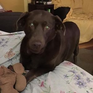 Meet your Posher, Nate